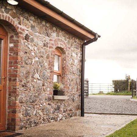 Drumnavaddy Cottage Dromore  外观 照片